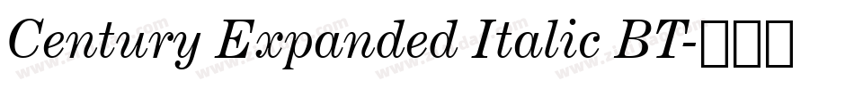 Century Expanded Italic BT字体转换